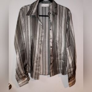 Luxurious Silky Striped Button Down Shirt